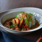 〈嘉祥窯〉みかわちカレー皿 佐世保