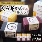 くろ羊かんミニ 食べ比べセット 3種類×3個 計9個