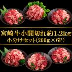 A4等級以上宮崎牛小間切れ小分けセット総量約1.2kg 200g×6