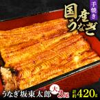 ふるさと納税 銚子市 【うなぎ坂東太郎】うなぎの蒲焼　大サイズ3串　計約420g〈タレ・山椒付き〉