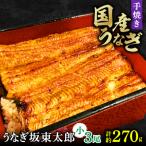 ふるさと納税 銚子市 【うなぎ坂東太郎】うなぎの蒲焼　小サイズ3串　計約270g〈タレ・山椒付き〉