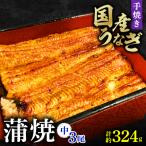 蒲焼3尾 中 うなぎ