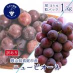 岡山 花笑み農園の訳ありニューピオーネ 1kg