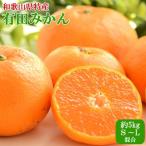 森本農園の手選別 大玉みかん 約5kg