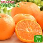 予定〉せとか 約3kg