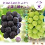 ショッピングふるさと納税 シャインマスカット ふるさと納税 真庭市 【2026年先行受付】岡山　花笑み農園の『ニューピオーネ&シャインマスカット』1kg(2房)PS-1