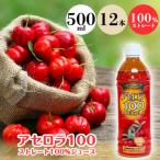 アセロラ100 ストレート100%ジュース 500ml×12本