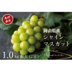 NISSHOKU FARM ご ぶどう2種セット