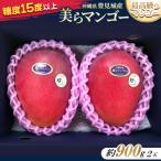 美らマンゴー約900g 2玉