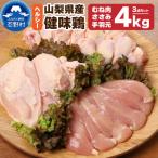 むね肉 ささみ 手羽元 合計4kgセット