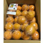 貯蔵きよみ 約8kg