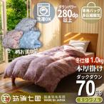 羽毛布団工場直送 羽毛ふとんダックダウン70% 1.0kg