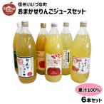 高坂りんごジュース 100% 1000ml 6本 セット