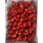 ふるさと納税 矢板市 ごろっと盛り盛り!ふぞろい完熟とちあいか 2000g