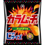 湖池屋のLサイズ カラムーチョ ホットチリ味 122g×12袋