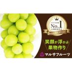 ふるさと納税 笛吹市 【2025年発送】シャインマスカット2.6kg以上 山梨県笛吹市一宮産 朝採産直