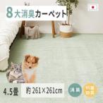 ペットにやさしい 8大消臭 抗菌 カーペット 1枚