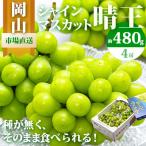 シャインマスカット 晴王 4房 1房480g以上