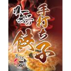 唯一無二の手打ち餃子20個 20個×1パック