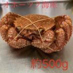 オホーツク産 浜茹で毛蟹 約500g×1パイ