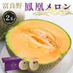 ふるさと納税 富良野市 糖度15度 富良野鳳凰メロン(赤肉) 2玉 各2〜2.5kg(3Lサイズ)