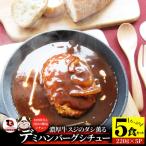 ハンバーグデミシチュー 220g×5食セット