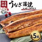 うなぎ蒲焼き 真空パック ×5本 タレ 山椒付