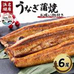 うなぎ蒲焼き 真空パック ×6本 タレ 山椒付