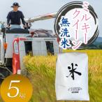 ふるさと納税 鶴岡市 数量限定【令和7年産】山形県庄内産 小池半左衛門のお米 ミルキークイーン【無洗米】5kg