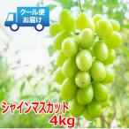 ふるさと納税 山梨市 安心のクール便発送 シャインマスカット 4kg (6〜8房)