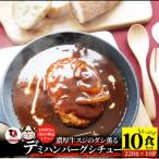 ハンバーグデミシチュー 220g×10食セット