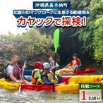 比謝川のマングローブに生息する動植物をカヤックで探検