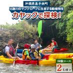 比謝川のマングローブに生息する動植物をカヤックで探検