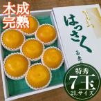 特秀 大玉2L×7玉入