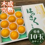 特秀 M×10玉入