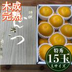 特秀 L×15玉入 2段詰め