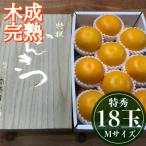 特秀 M×18玉入 2段詰め