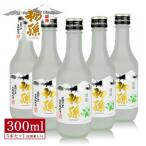 SB0683 初孫 ニュー銀嶺セット 300ml×5本