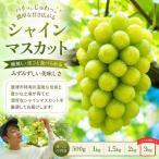 シャインマスカット 3kg