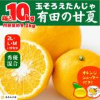 甘夏 箱込 10kg