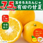 甘夏 箱込 7.5kg