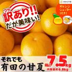 訳あり それでも 甘夏 箱込 7.5kg