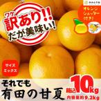 訳あり それでも 甘夏 箱込 10kg