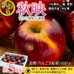 ふるさと納税 箕輪町 2025年!信州のりんご【秋映】訳あり 約5kg 家庭用