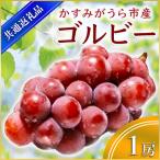 ゴルビー 1房 県内共通返礼品:かすみがうら市産