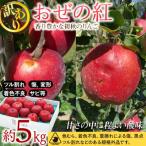 ふるさと納税 箕輪町 2025年!信州のりんご【おぜの紅】訳あり 約5kg 家庭用