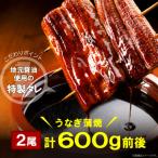 ふるさと納税 上毛町 うなぎの蒲焼ビッグサイズ 2尾(計約600g)