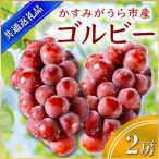ゴルビー 2房 県内共通返礼品:かすみがうら市産