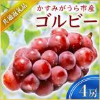 ゴルビー 4房 県内共通返礼品:かすみがうら市産