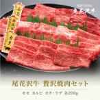 ふるさと納税 尾花沢市 尾花沢牛 A4-5 贅沢焼肉セット モモ カルビ カタ・ウデ 各200g 計600g
